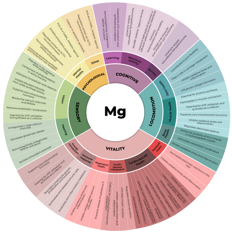 Der Nutzen von Magnesium nach Kategorien sortiert.
